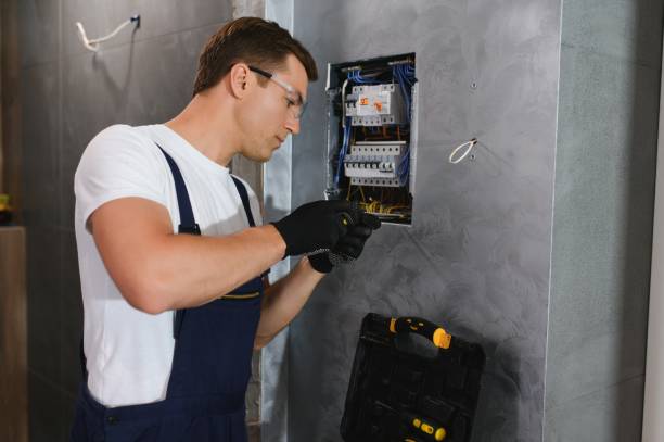 Best Electric Panel Repair  in Canfield, OH