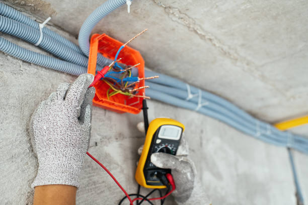 Best Licensed Electrician  in Canfield, OH